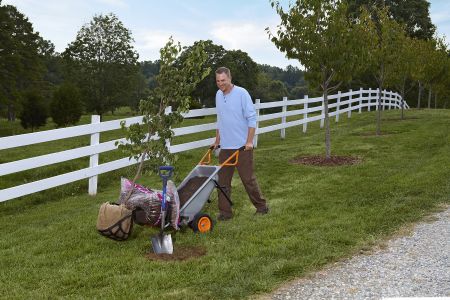 Садовая тележка WORX WG050 Aerocart