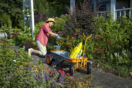 Садовая тележка WORX WG050 Aerocart