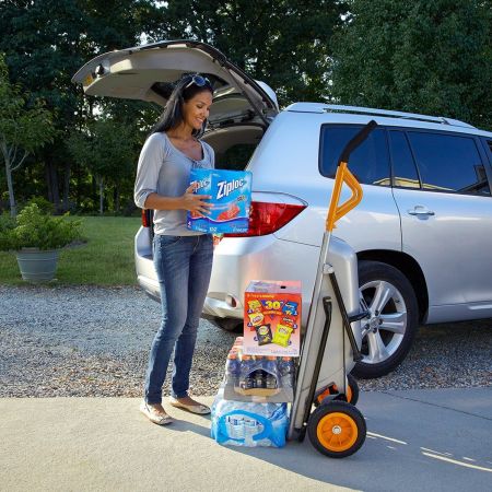 Садовая тележка WORX WG050 Aerocart
